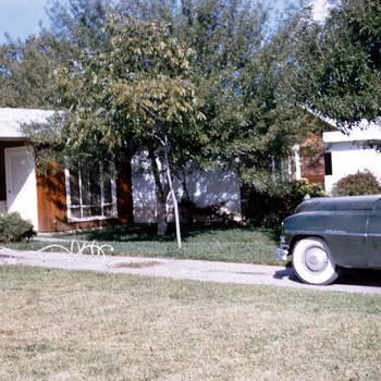 Photo of Alice Persyn